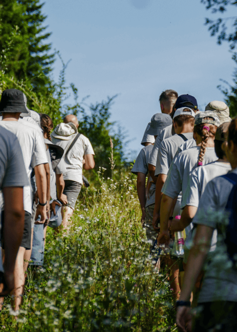 Система роїв